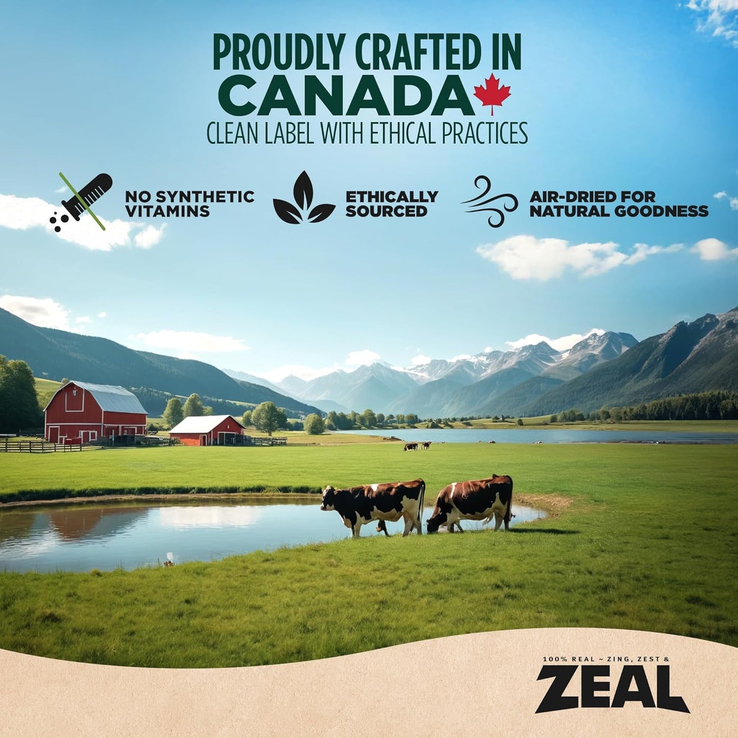 ZEAL Canada Air-Dried Salmon & Duck Recipe for Dogs - Superfood Omega-3 Rich, Dual-Protein, Grain Free, No Fillers, Complete Nutrition (Salmon & Duck, 5 oz)