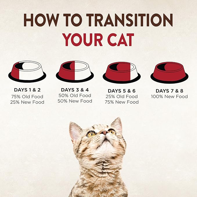 Wellness CORE Signature Selects Chunky Adult Wet Cat Food, Natural, Protein-Rich, Grain Free, 5.3 Ounce, 12 Pack (Beef & Chicken)