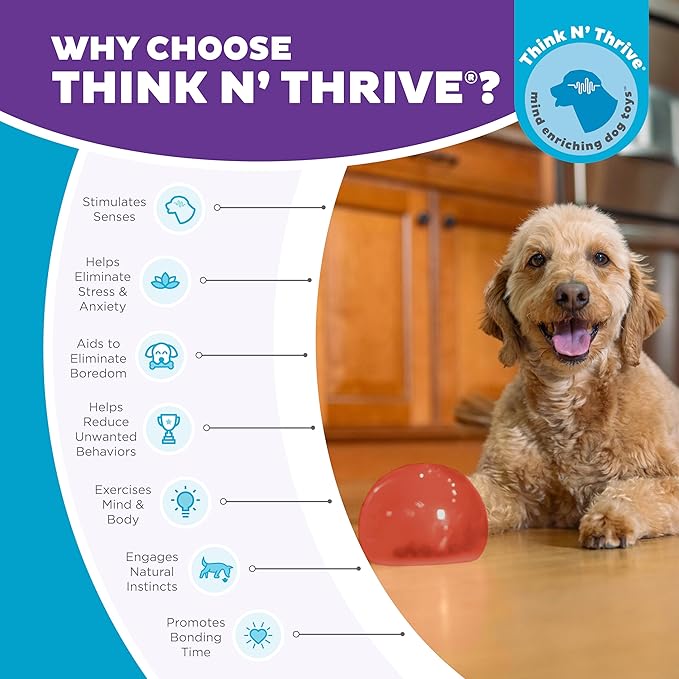 Outward Hound Lil' Snoop Interactive Treat Dispensing Dog Toy, Puzzle Ball Slow Feeder for Small to Medium Dogs, Mint-Scented for Mental Stimulation & Boredom Relief, BPA-Free, 3.9-Inch, Red