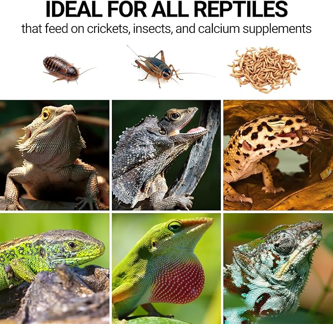 Cricket Calcium Powder Mixer for Reptiles, Cricket Feeder with Calcium for Reptiles, Reptile Calcium Duster Cricket Food for Reptile Bearded Dragon Gecko Terrarium Tank Accessories