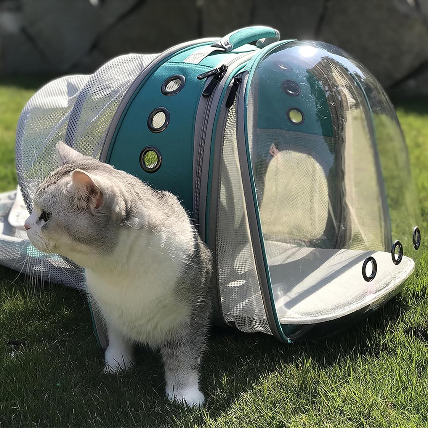 halinfer Dual Expandable Cat Backpack Carrier, Fit up to 20 lbs, Expandable Pet Carrier Backpack for Large Fat Cat and Small Puppy