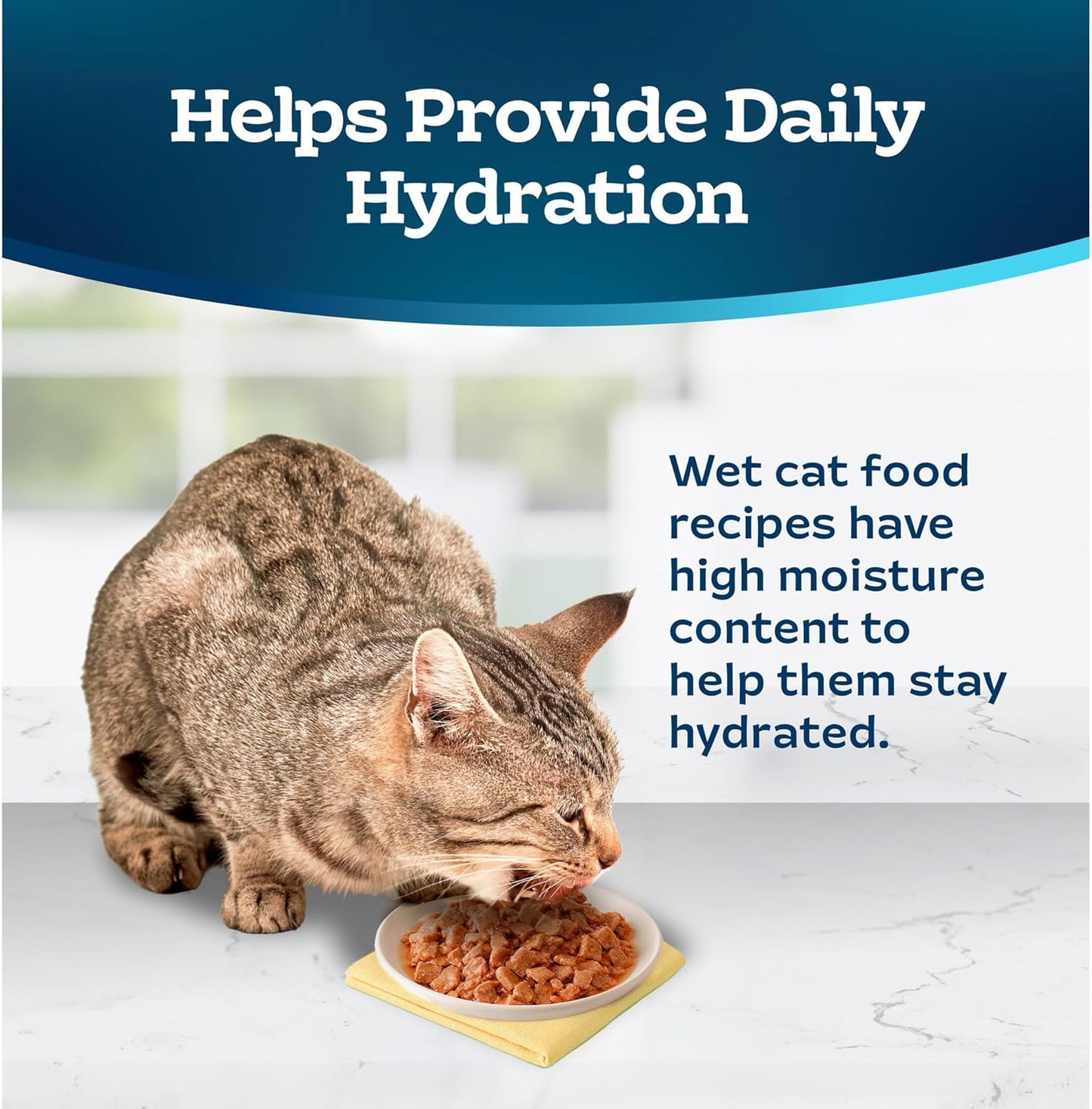 Blue Buffalo Tastefuls Natural Tender Morsels Wet Cat Food, Chicken Entrée 3-oz cans (Pack of 24)