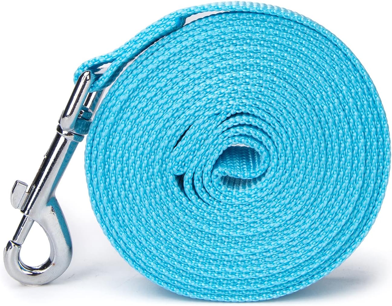 Strong Durable Nylon Dog Training Leash, 1 Inch Wide Traction Rope, 6 ft 10ft 15ft Long, for Small and Medium Dog (Mint Blue, 15 Feet)