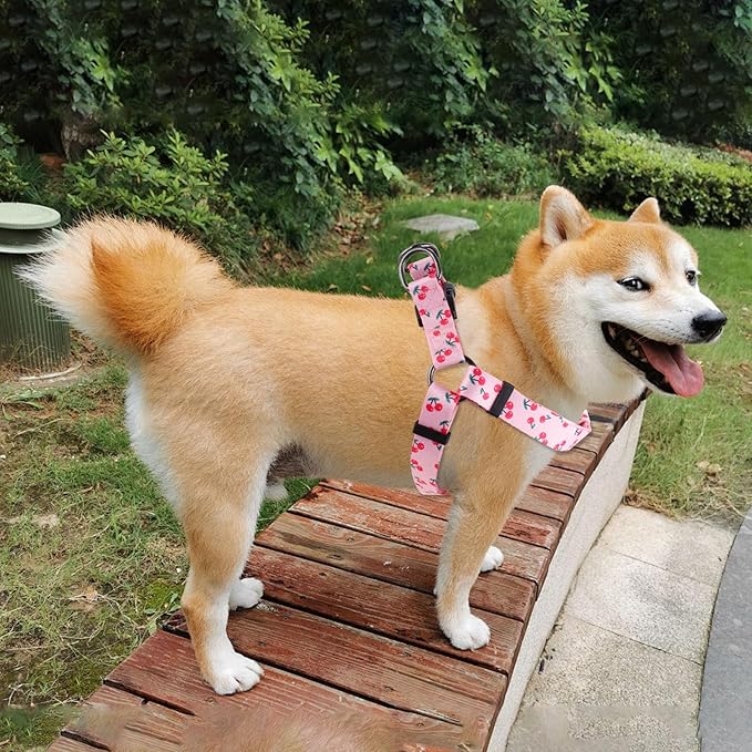 QQPETS Dog Harness Leash Set Adjustable Heavy Duty No Pull Halter Harnesses for Small Medium Large Breed Dogs Back Clip Anti-Twist Perfect for Walking (L(23"-32" Chest Girth), Sakura Pink)