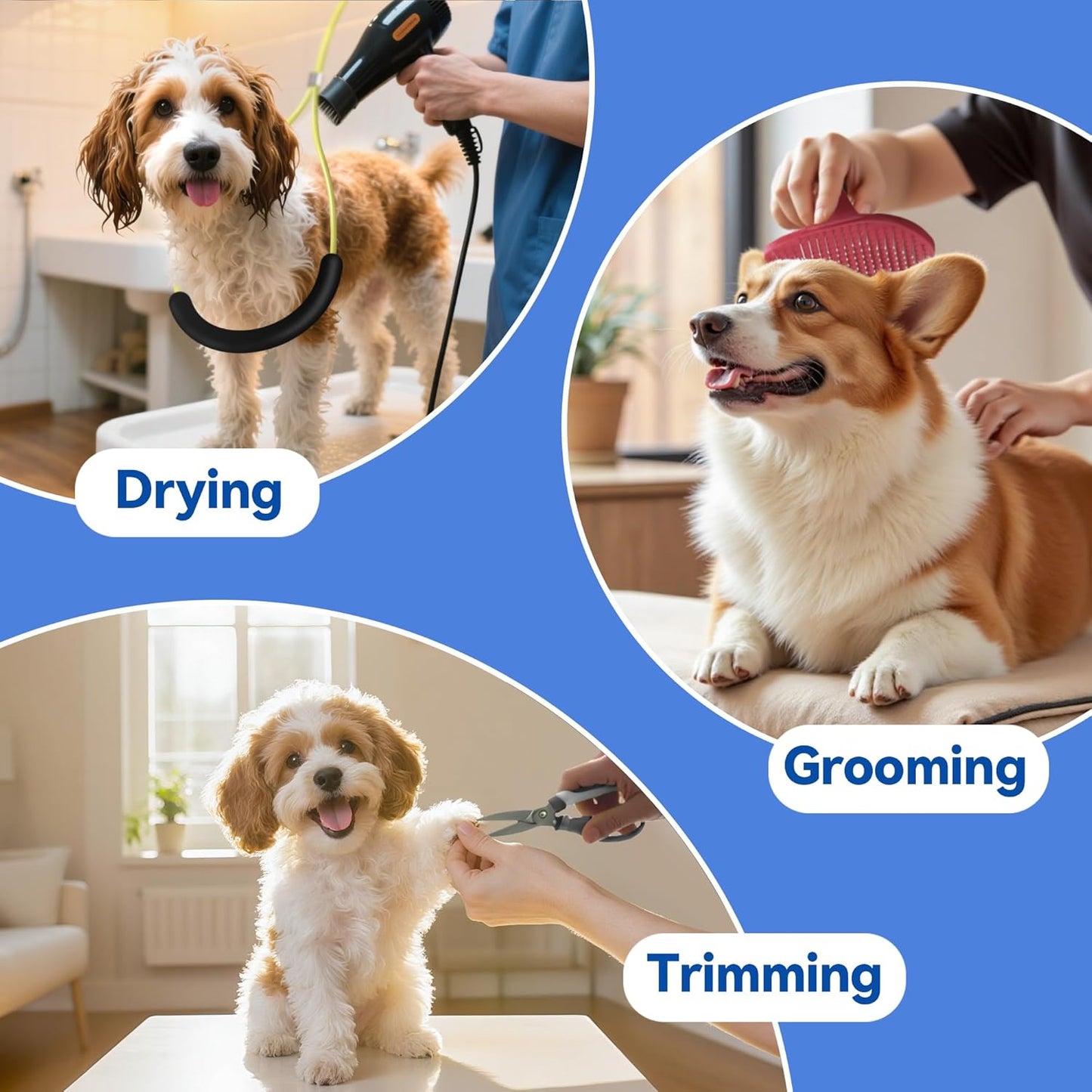 niffgaff Adjustable Foldable Dog Grooming Arm with Heavy-Duty Clamp: 26" to 40" Height, Includes Safety Hammock & No-Sit Holders – Perfect Grooming Restraint for Small & Medium Dogs at Home or Salons