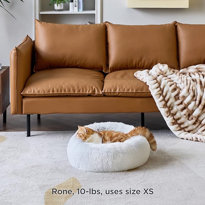 Bedsure Calming Cat Beds for Indoor Cats - Small Cat Bed Washable 20 inches, Anti-Slip Round Fluffy Plush Faux Fur Pet Bed, Fits up to 15 lbs Pets, Frost Grey