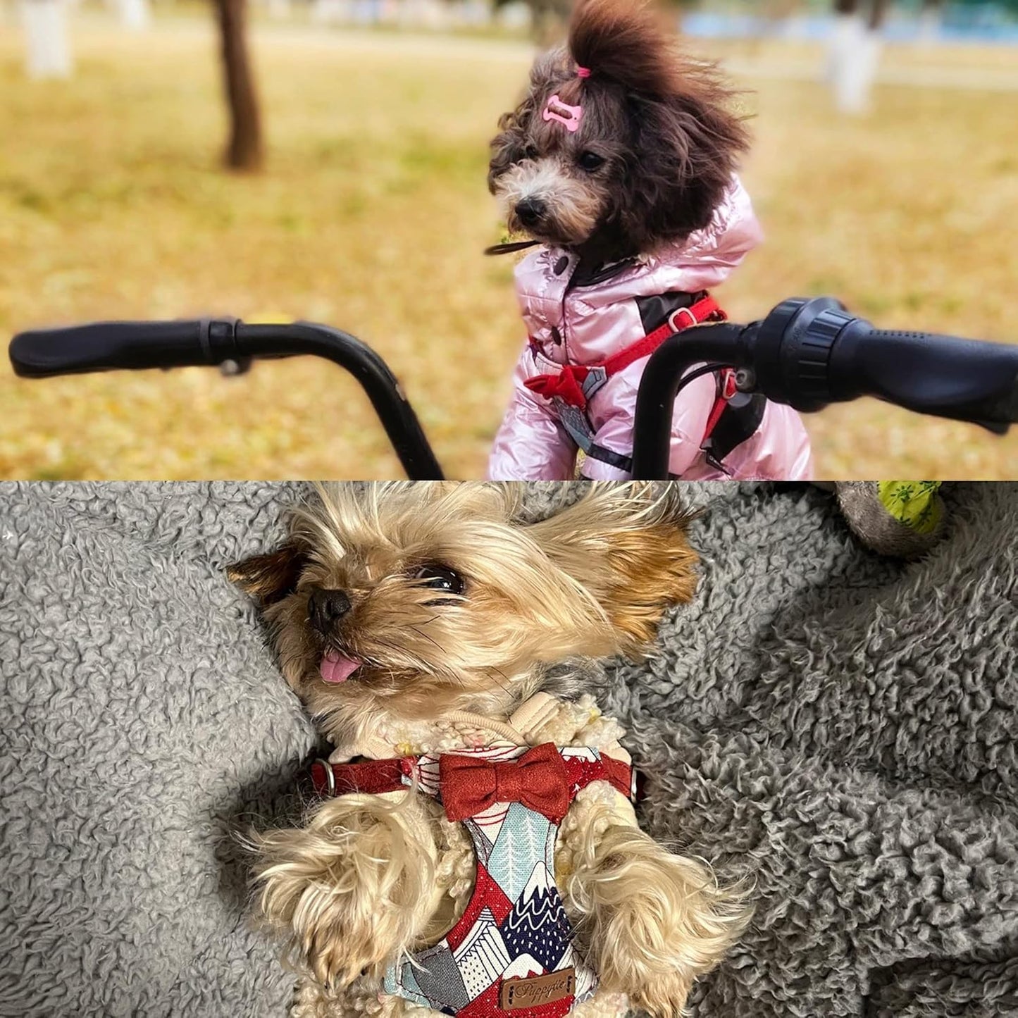 Puppytie No Pull Dog Harness with Multifunction Dog Leash,Soft Adjustable No Choke Escape Proof Pet Harness Vest for Medium Dogs,Suede Bow red,M