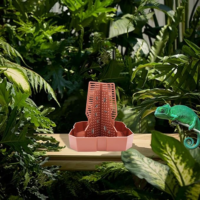 Bearded Dragon Tank Accessories, Lizard Feeder, Reptile Food Cup, Dubia Roaches Organizer with Column for Prey to Climb and Move, Food Bowl for Bearded Dragon, Gecko, Frog