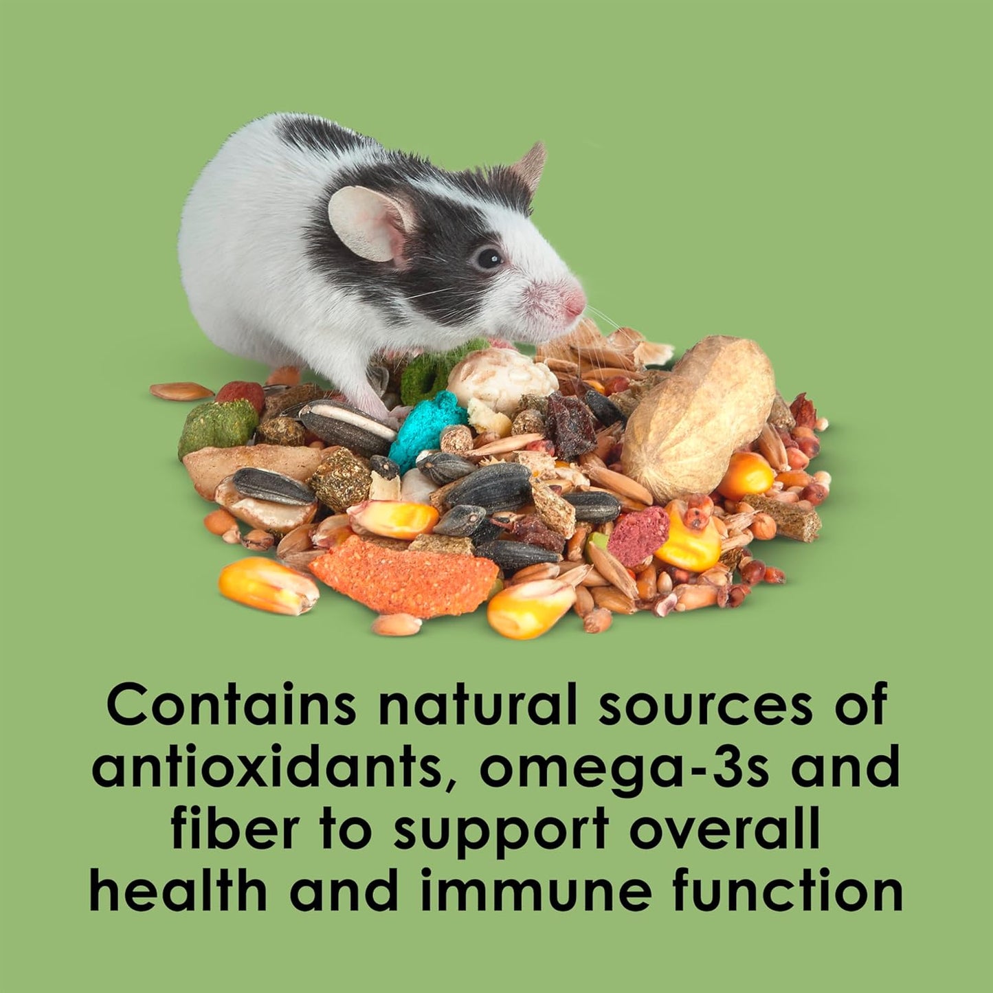 Kaytee Fiesta Mouse & Rat Food, Nutritious and Fun Blend, Supports Dental Health and Digestion, 4.5 pounds