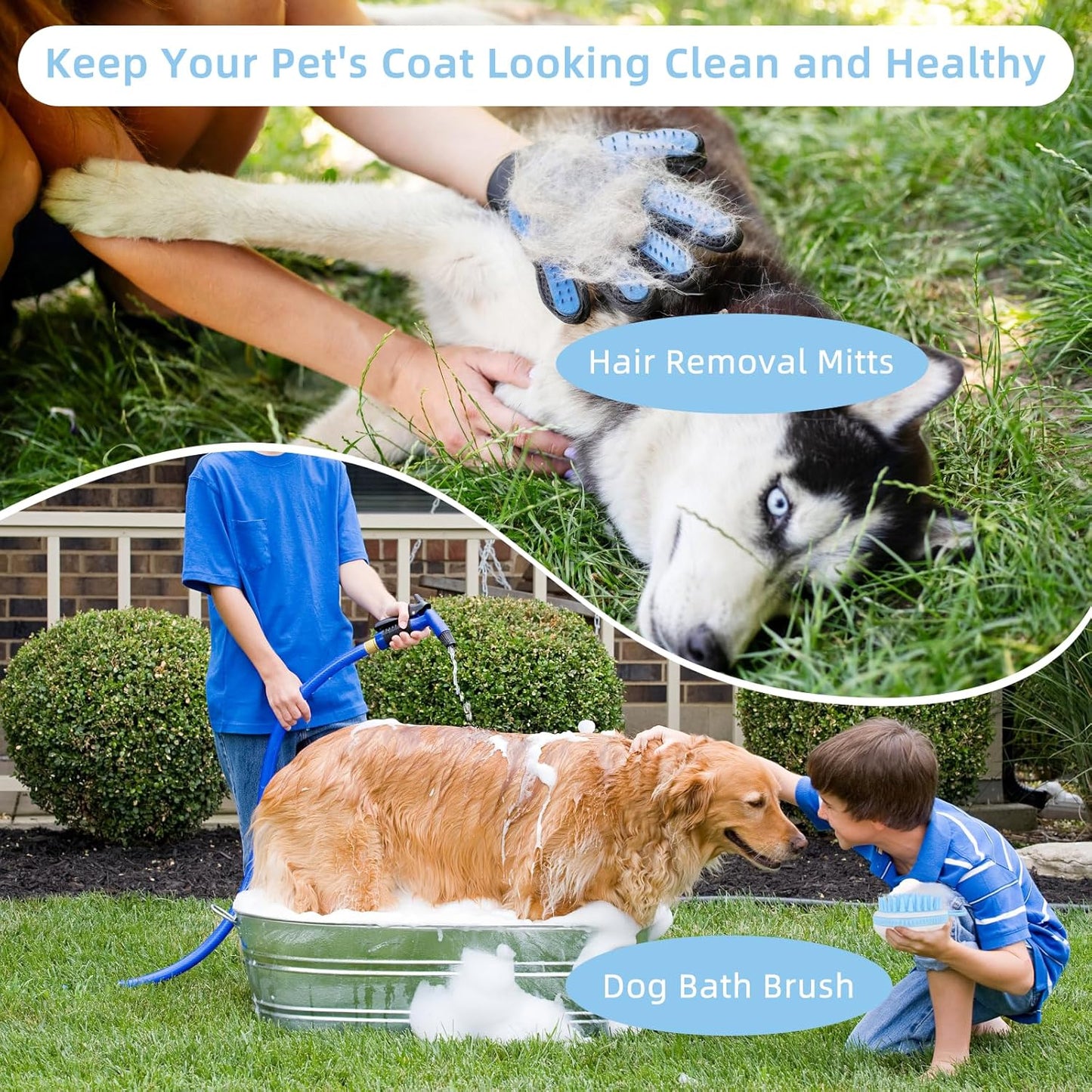 Wisedog Pet Grooming Tool Kit - Nail Clipper Set, Dematting & Grooming Combs, Bath Brush, Hair Removal Mitts (Upgraded Blue)