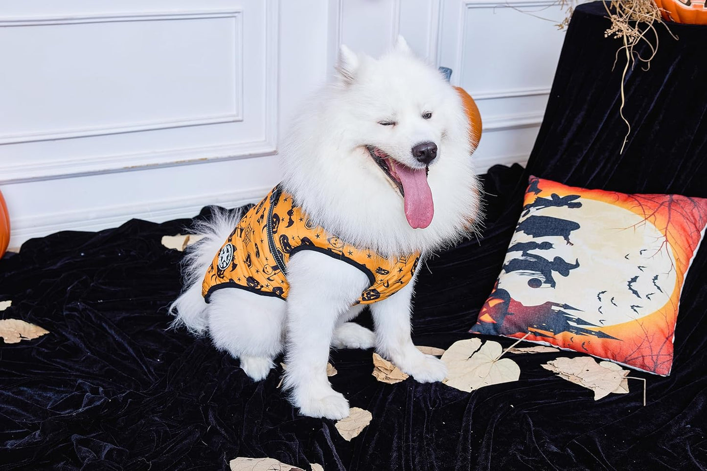 Aiboria Dog Jackets Windproof Outfit Coat Dog Vest Harness Puppy Warm Jacket Halloween Orange 3XL