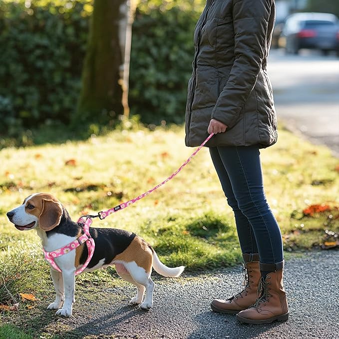 QQPETS Dog Harness Leash Set Adjustable Heavy Duty No Pull Halter Harnesses for Small Medium Large Breed Dogs Back Clip Anti-Twist Perfect for Walking (XS(12"-18" Chest Girth), Daisy)