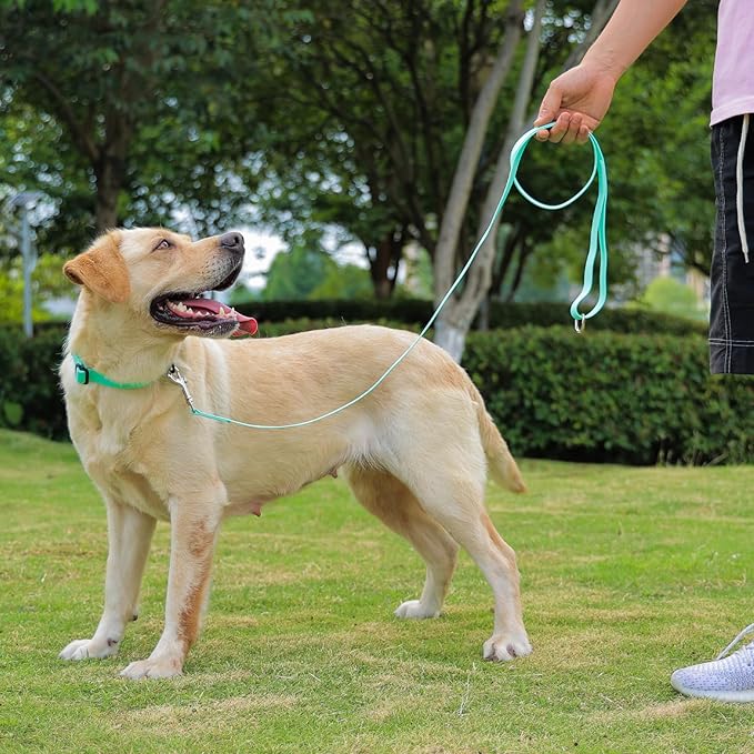 Waterproof Dog Leash, 5/6 FT Durable Odor-Proof Dog Leashes with Strong Metal Hooks Fits Small Medium or Large Dogs (Mint Green, 5FT - 3/4 inch Width)
