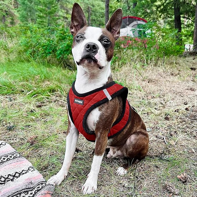 Best Pet Supplies - All Weather Mesh / Plush, Reflective, No Pull Harness for Small, Medium Dogs, Cats - Secure with Hook & Loop Fastener, Buckle, Double D-Rings - Red Plush, XS