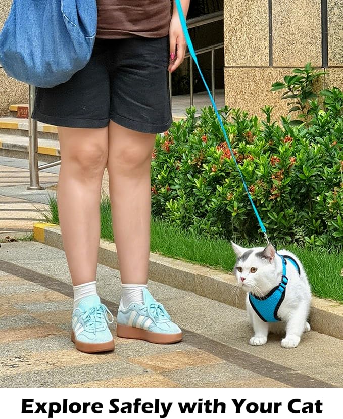 Luxelle 2 Pack Escape-Proof Cat Harness and Leash Set for Walking – Adjustable No Pull Soft Vest with Easy-Wear Buckle, Reflective Straps, Breathable Mesh – Outdoor Travel Harness for Cats & Kittens