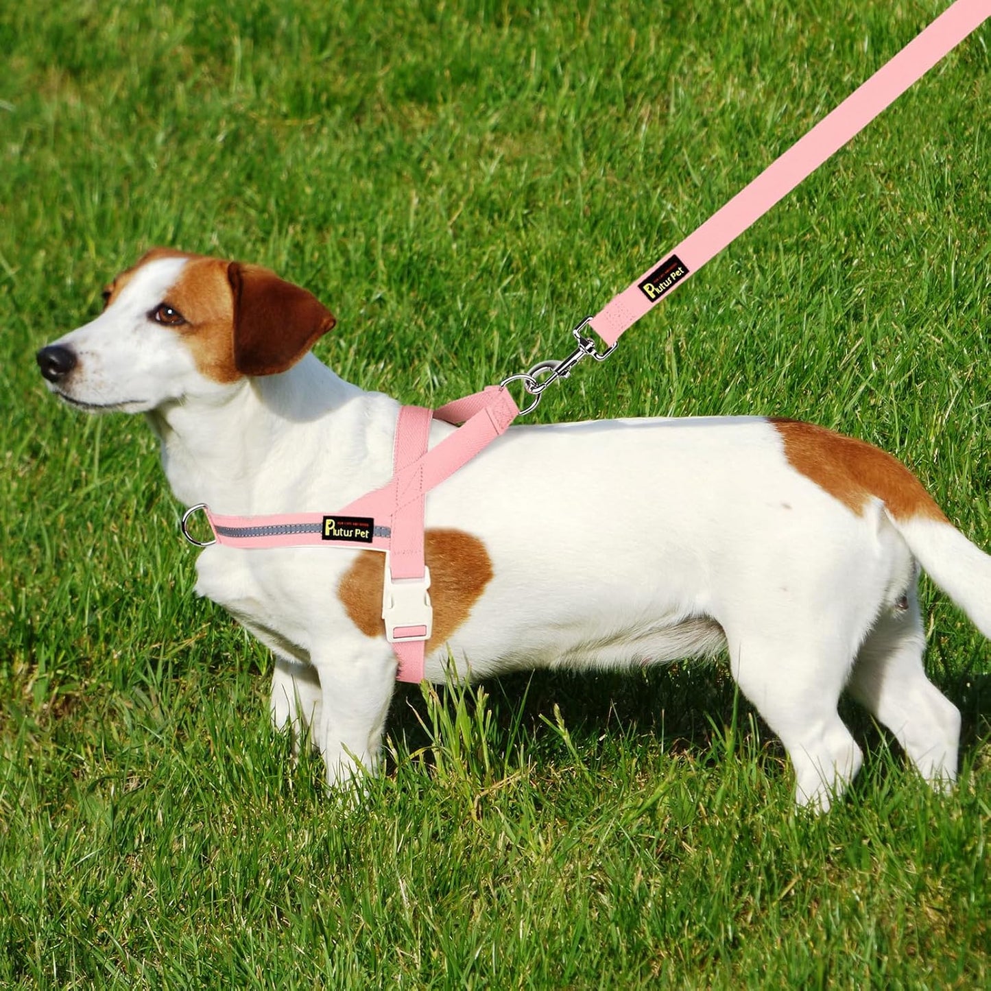 Plutus Pet Cotton Dog Harness and Leash Set, Reflective and Soft Padded, Quick Fit Vest Harness, for Small, Medium and Large Dogs, Pink, XXS