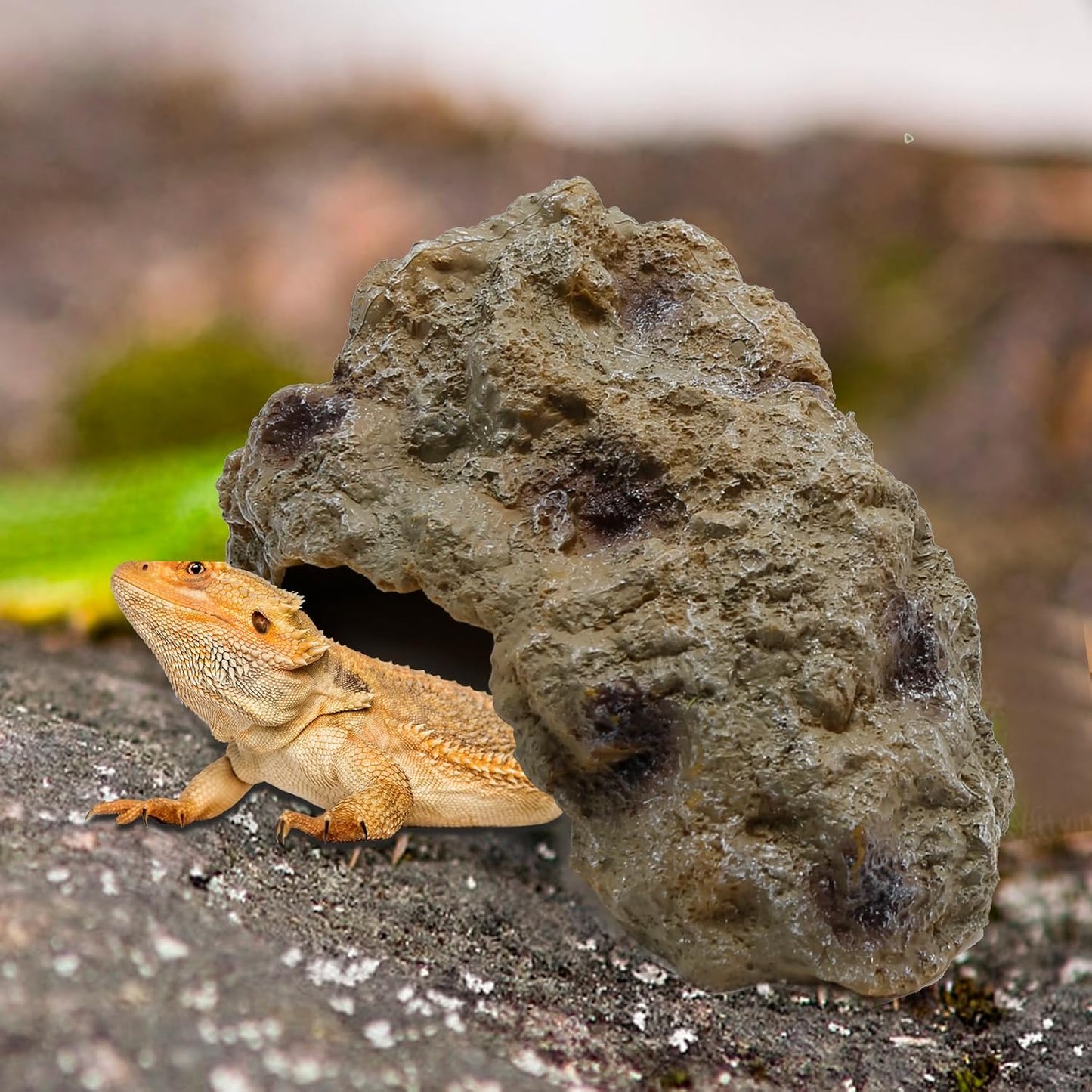 Anxingo Reptile Rock Reptile Cave Hideout for Snakes/Geckos/Lizards/Turtles and Other Amphibians, with Dinosaur Skull (Small)