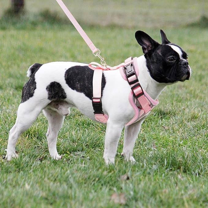 PUPTECK Soft Mesh Dog Harness and Leash Set Pet Puppy Cat Adjustable Reflective Padded Vest No Pull Harnesses, Pink, XS