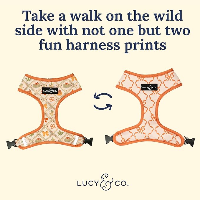 Lucy & Co. Cute Reversible Dog Harness Walking Halter - Best Designer Pet Harnesses for XS - XL Dogs - Padded Adjustable Vest for Easy Walking-Small-Orange Cream Pumpkin