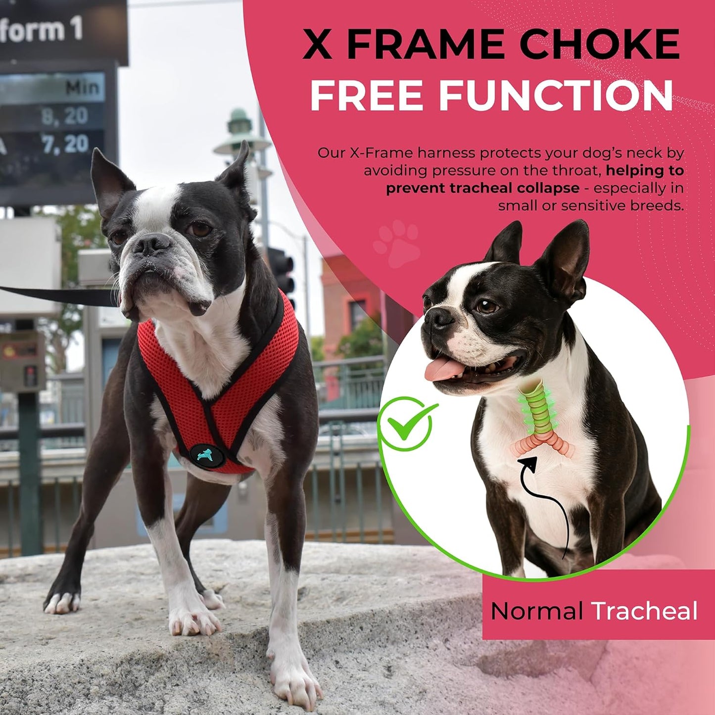 Gooby Comfort X Head In Harness - Red, X-Large - No Pull Small Dog Harness, Patented Choke-Free X Frame - Perfect on the Go Dog Harness for Medium Dogs No Pull or Small Dogs for Indoor and Outdoor Use