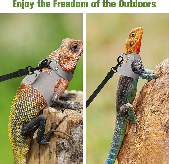 Bearded Dragon Harness Leash Set 3 Size Adjustable Lizards Training Walking Leather Vest Escape-Proof Traction Rope for Outdoor Small Reptiles Animal Squirrels (Grey)