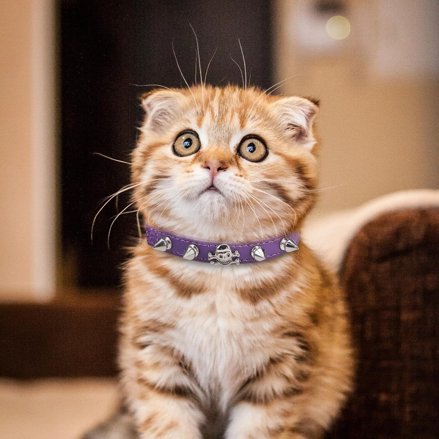 EXPAWLORER Leather Cat Collar for Girl Boy- Adjustable Pet Collar with Safety Elastic Belt,Personalized Punk Accessories Buckle Collars with Bell & Durable D-Ring, Rivet(Purple)