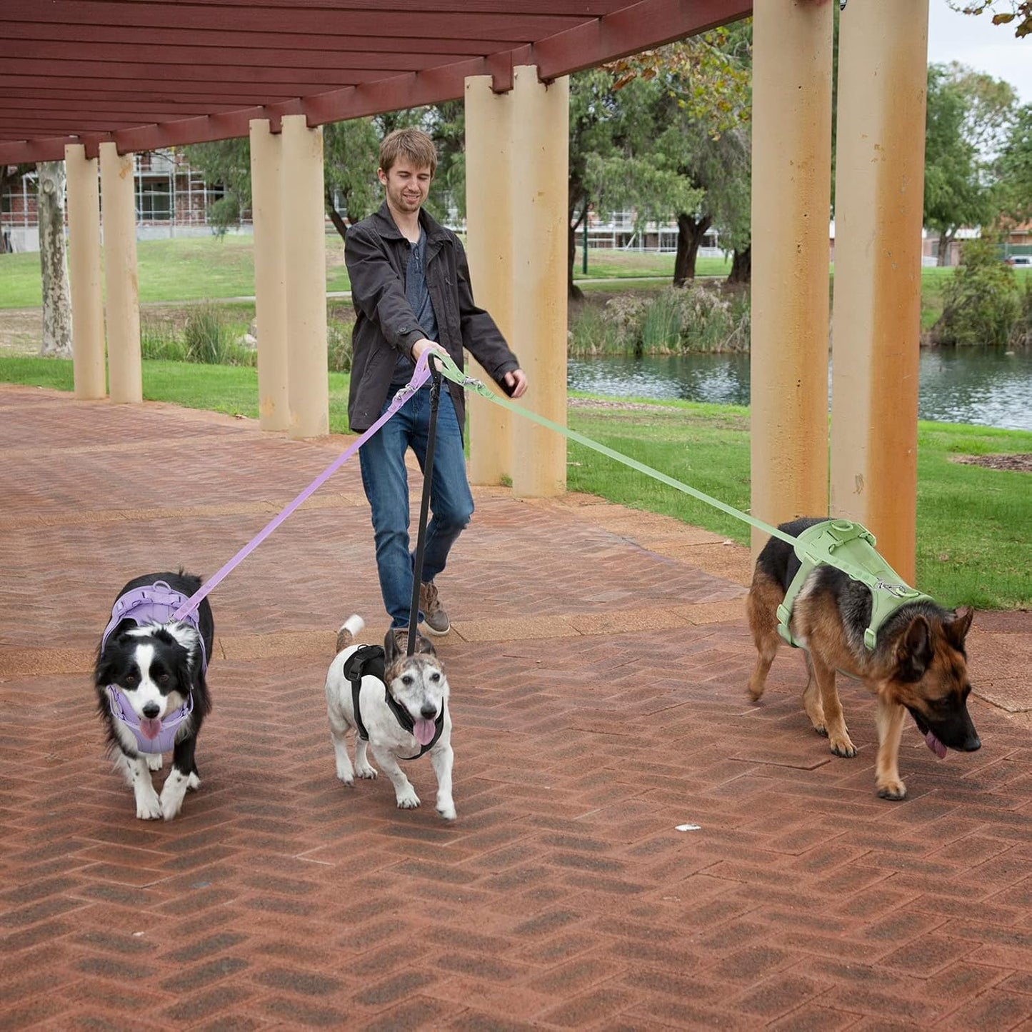 Wisedog No Pull Lightweight Dog Vest Harness with Soft and Comfortable Cushion, Breathable Mesh, for Small Medium Large Dogs Walking (S(Neck: 9.84"-14.17";Chest: 14.17"-22.05"), Sage Green)