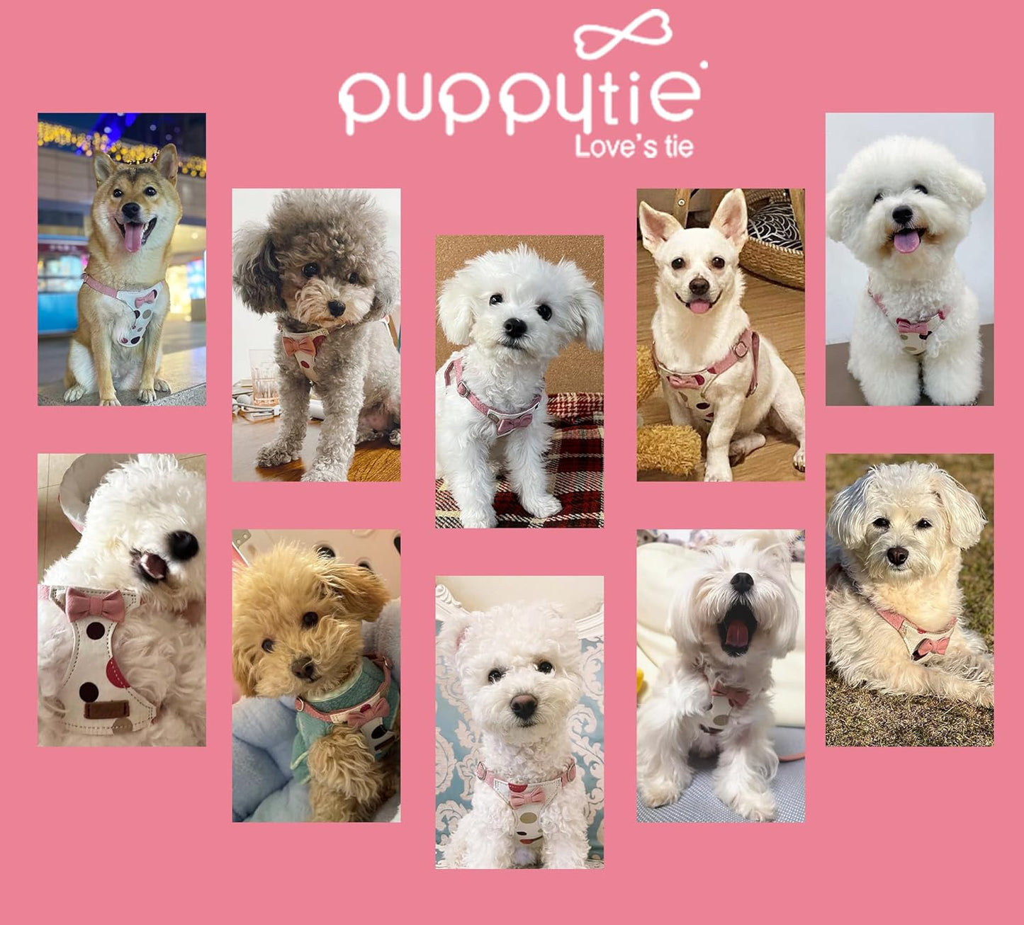 Puppytie No Pull xs Dog Harness with Multifunction Dog Leash,Soft Adjustable No Choke Escape Proof Pet Harness Vest,Polka dots Pink,XS