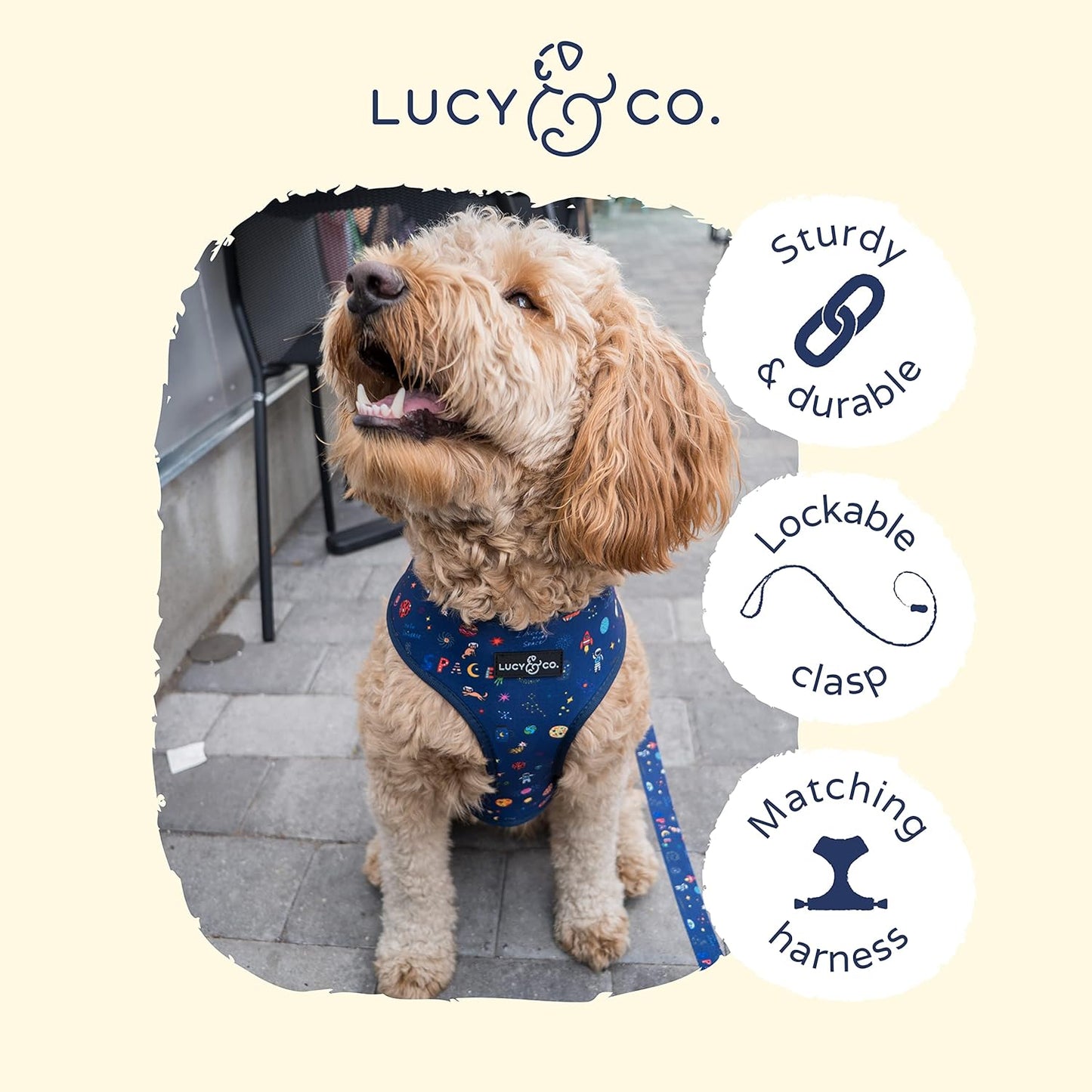 Lucy & Co. 5ft Designer Dog Leash - Best for Big, Small or Medium Puppies - Space Doodle, Large