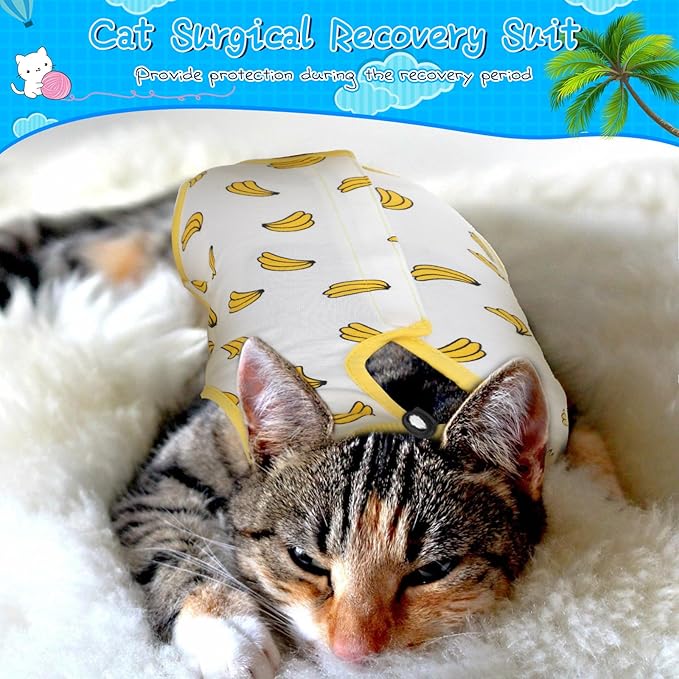 Kacctyen 6 Set Cat Recovery Suit After Surgery Female and Male Cat Kitten Surgery Suit E Collar Alternative Pajama Kitty Clothes for Spay Abdominal Skin Anti Licking(Fruit,Large)