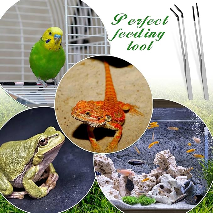 Lasnten 2 Pcs Extra Long Stainless Steel Reptile Feeding Tongs with Rubber Tip Bearded Dragon Aquarium Straight and Curved Long Tweezer Terrarium Feeder Tool for Tank(Silver, 10 Inch, 10.5 Inch)