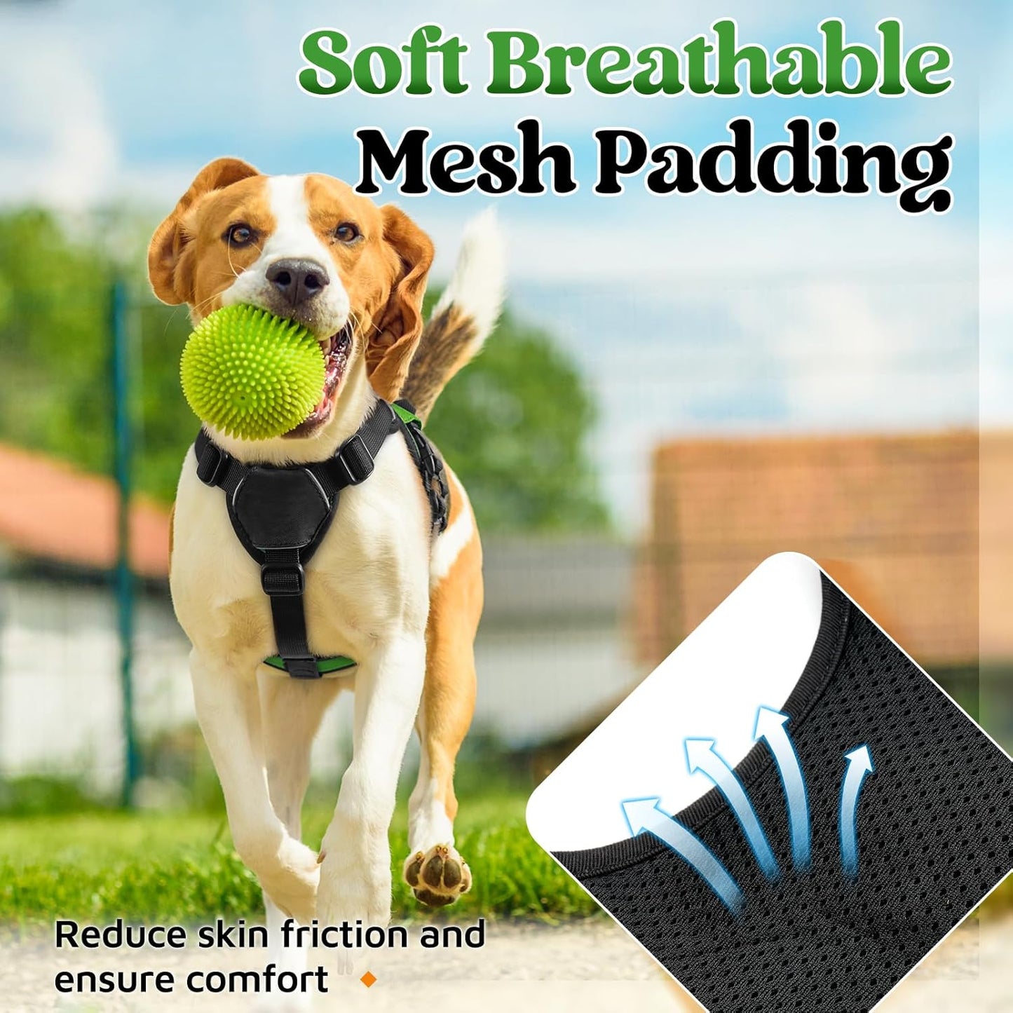 rabbitgoo Escape Proof Dog Harness, Soft Padded Full Body Pet Harness, Reflective Adjustable No Pull Vest with Lift Handle and Lesh Clip for Large Dogs Walking Hiking Training, S, Green