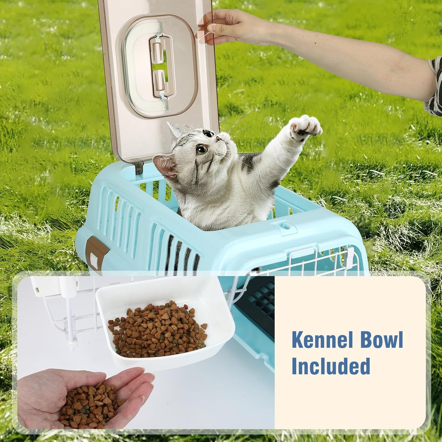 Hard-Sided Plastic Dog and Cat Kennel,Two-Door Pet Carrier, Plastic Wire Door, Top or Front Loading,Pets up to 22LBS,Fully Breathable, Perfect for Traveling/Hiking/Camping/Veterinary Visits