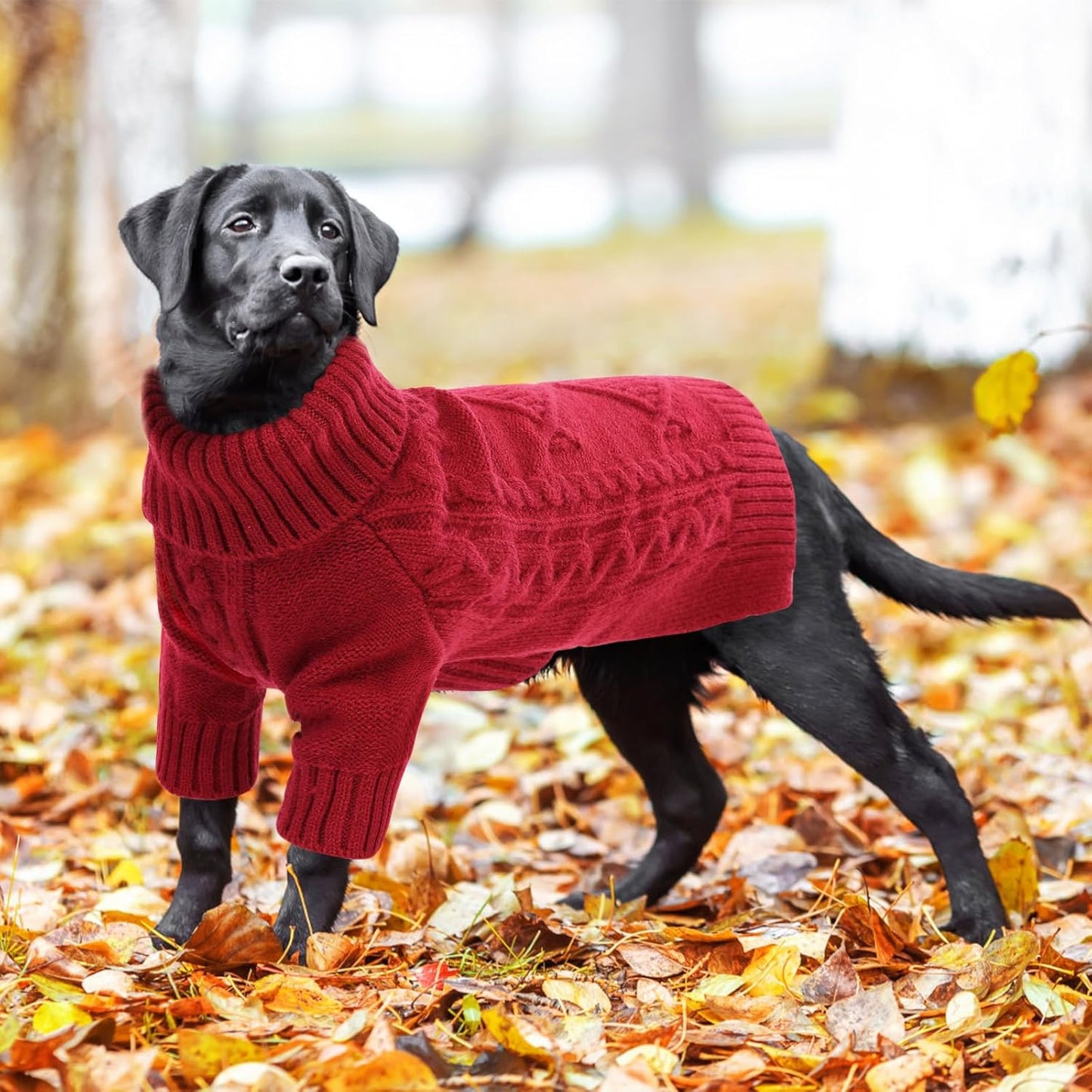 ASENKU Knitted Dog Sweater, Pullover Big Thermal Dog Winter Sweater, Turtleneck Doggy Sweaters for Large Medium Dogs Boy Girl,Warm Pet Sweatshirt for Labrador,Golden Retriever,2XL