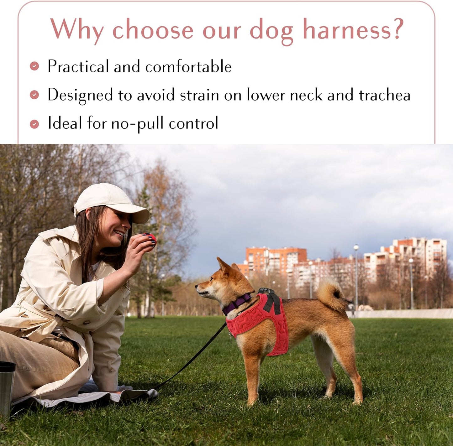 Comfort Fit No Pull Dog Harness – Adjustable Step-in Vest for Small, Medium & Large Dogs, Soft Padded with Leash Clips, Reflective Straps & Handle