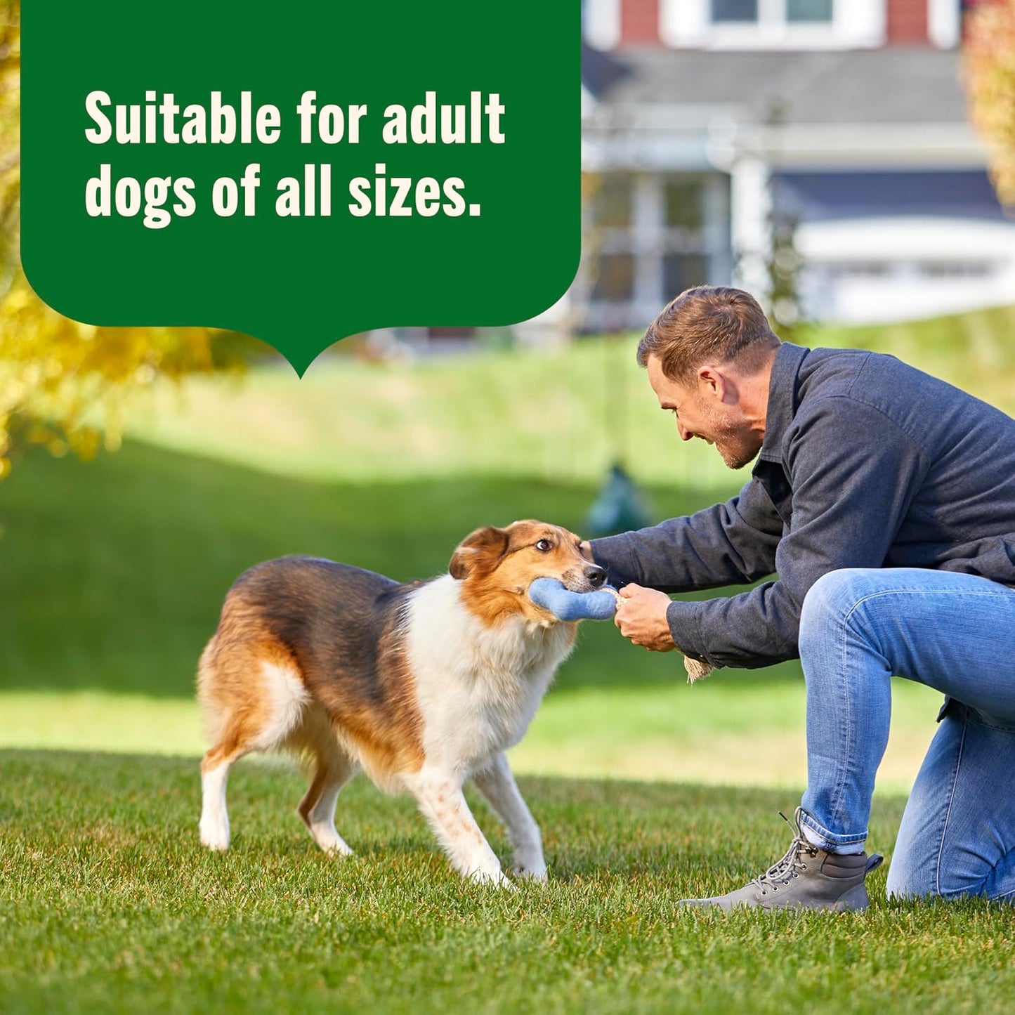 Nutrish Premium Paté Wet Dog Food, Real Chicken & Apple Recipe Whole Health Blend, 13 oz. Can, 12 Count (Rachael Ray)