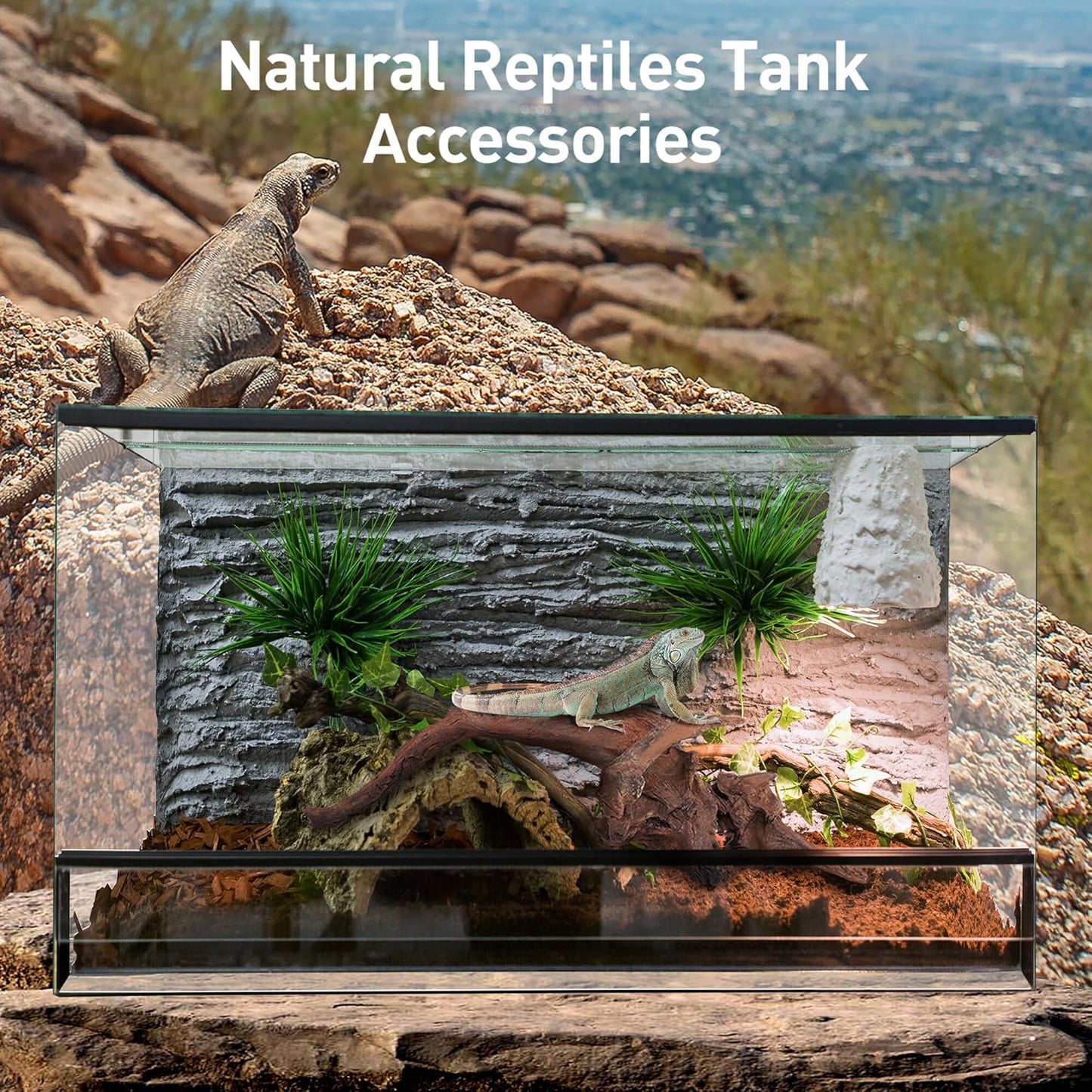 WDEFUN Natural Driftwood Aquarium Decor, 7-11 Inch Large Pieces for Fish Tank, Reptile Accessories, 3-Pack