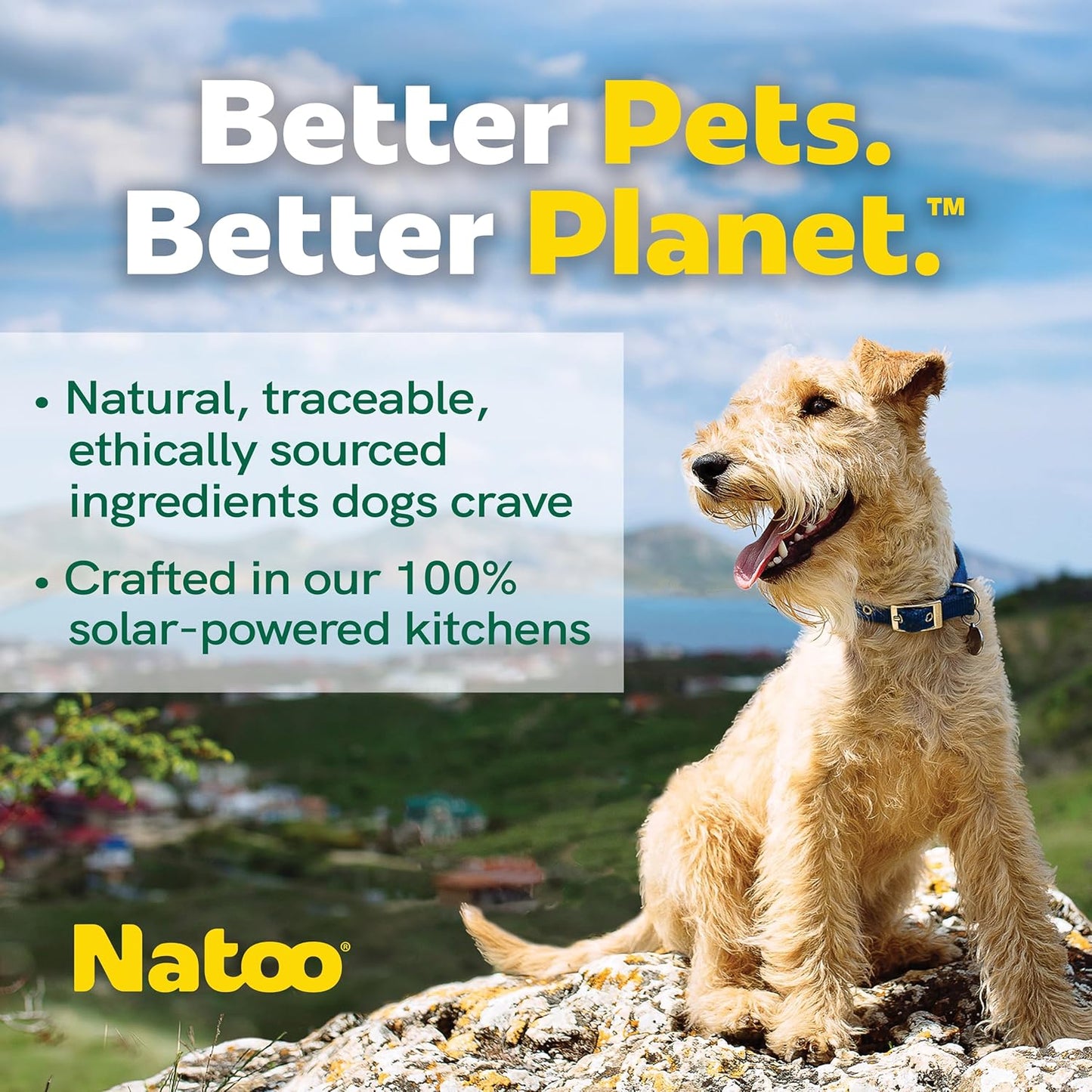 Natoo Dog Food Topper for Picky Eaters, Dog Treat (Chicken, Carrot, Brown Rice, & Quinoa) Dog Toppers for Dry Food, Wet Meal Toppers for Dogs & Puppies, Limited Ingredient Dog Food (Case of 20) 3oz Ea