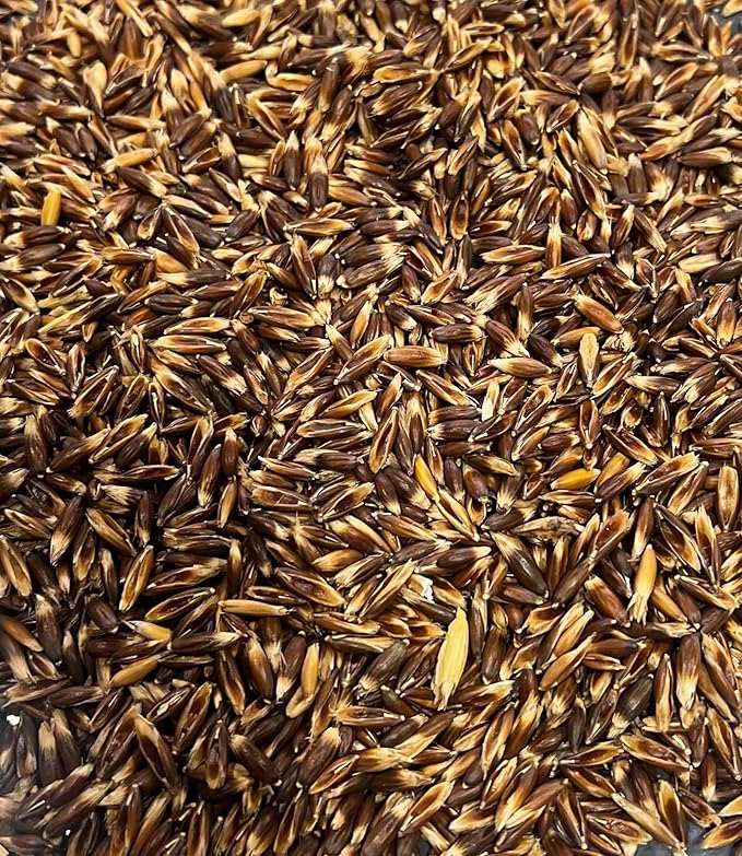 Premium Organic Oat Seeds for Animal Feed and Growing Oats for Hay - 1lb