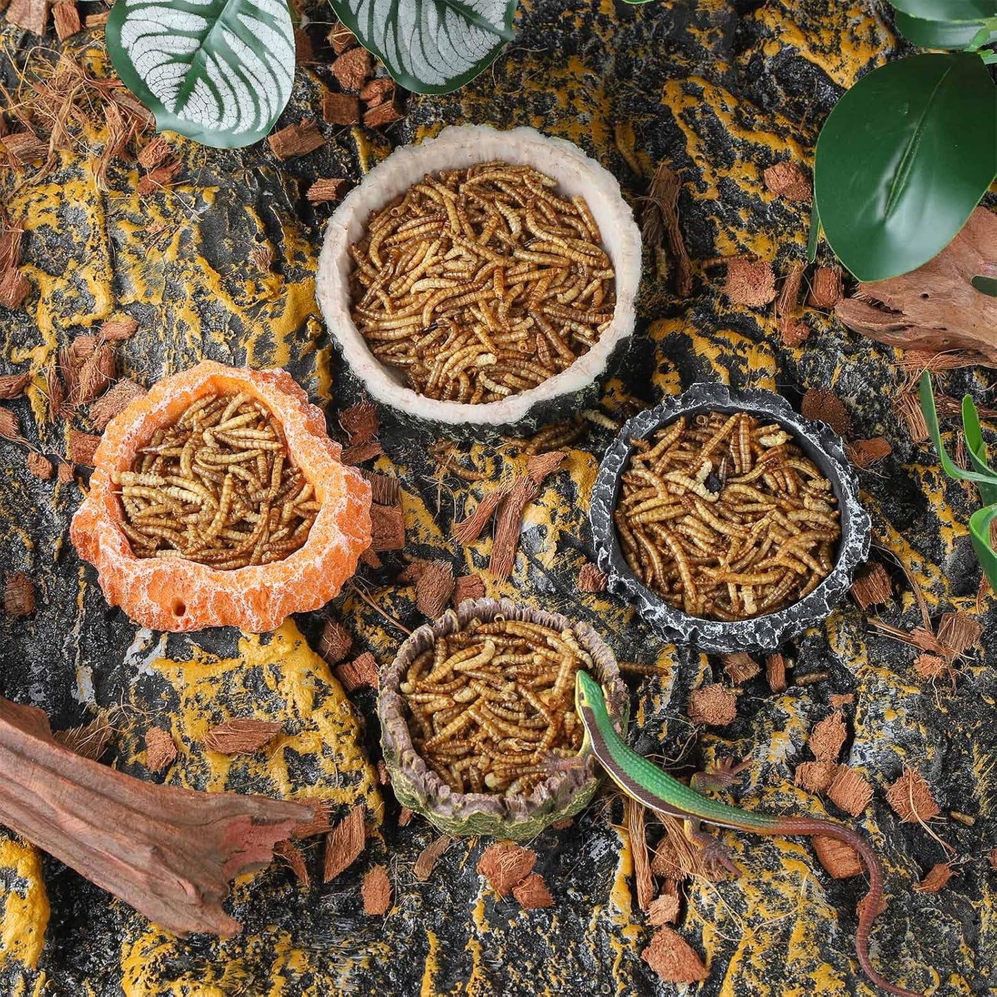 IBWell 2pcs Reptile Water Bowl with Feeding Tweezers - Reptile Food Dish for Lizard, Snake, Tortoise & Small Animals - Wooden Tree Stump