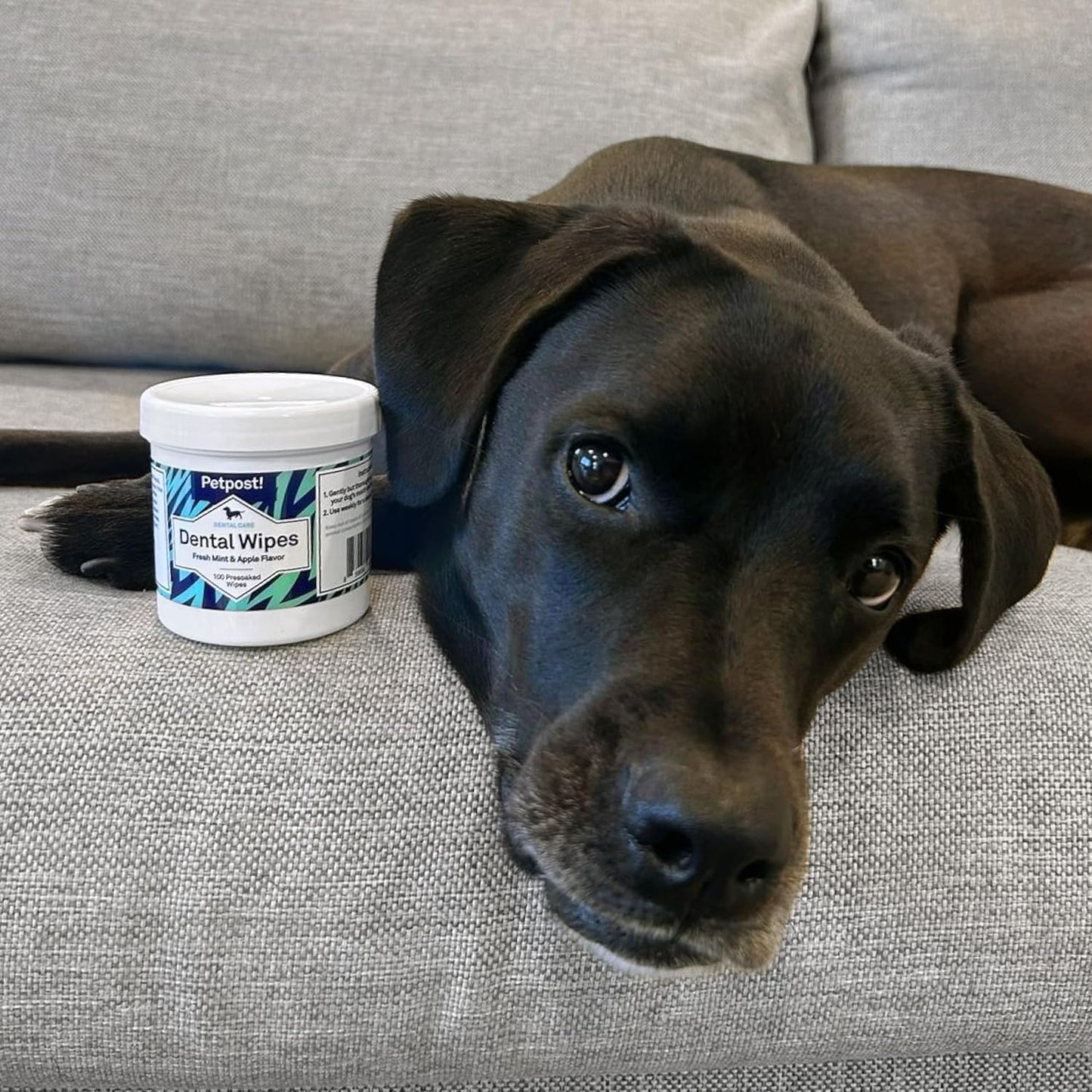 Petpost Dental Wipes for Dogs | 100 Count Presoaked Pads in Natural Tooth Cleaning Solution | Bad Breath and Tooth Buildup Remover