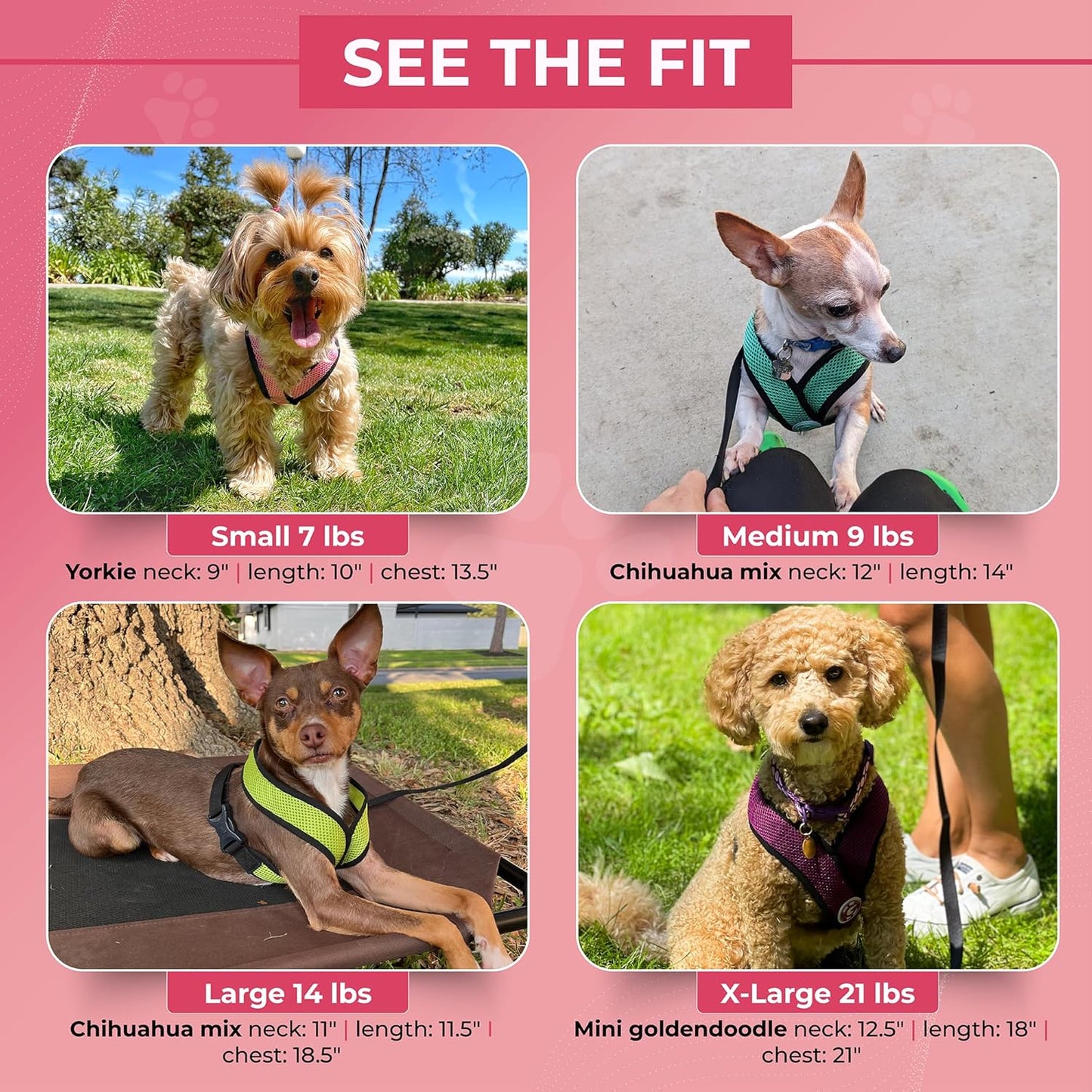 Gooby Comfort X Head In Harness - Green, Medium - No Pull Small Dog Harness Patented Choke-Free X Frame - Perfect on the Go Dog Harness for Medium Dogs No Pull or Small Dogs for Indoor and Outdoor Use