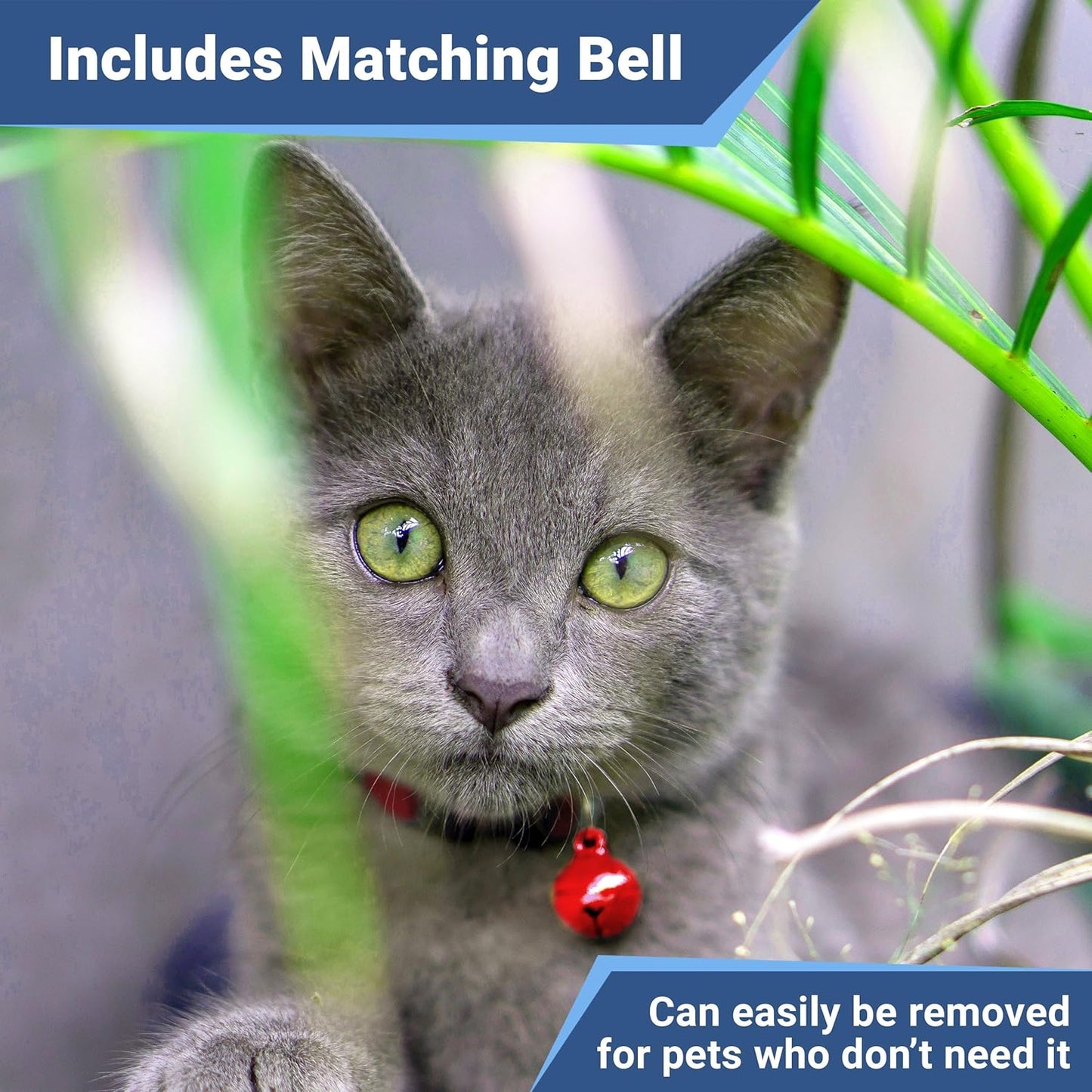 GoTags Cat Collars with Personalized Tag, Breakaway Collar with Safety Buckle Matching Bell, Engraved Custom with Name and Phone, Adjustable for Cats and Kitten, (Blue with Nameplate)