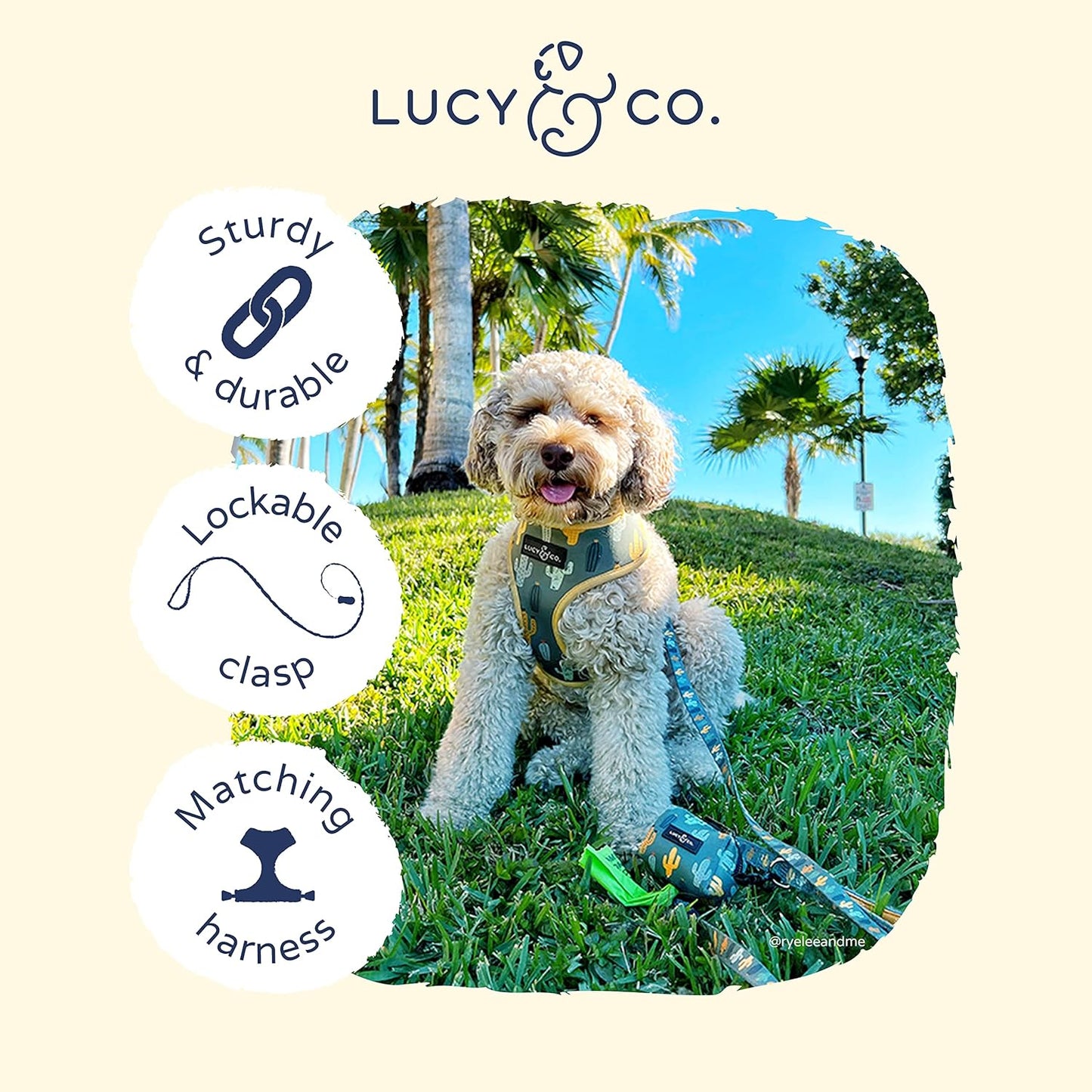 Lucy & Co. 5 Foot Designer Dog Leash – Puppy Leash – Pet Accessories & Supplies (Looking Sharp, Large)
