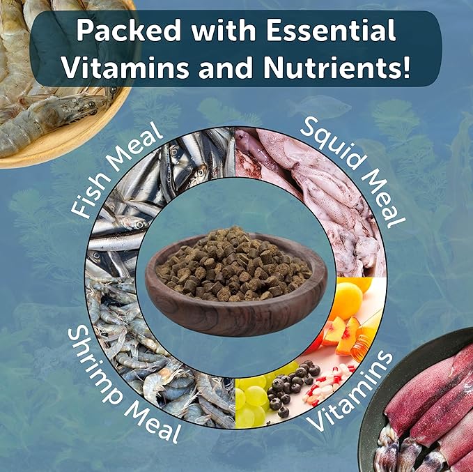 Aquatic Foods Inc. Axolotl Food, 1/4" Soft Moist Sinking Pellets, Rangen's Salmon Meal Pellets for Adult Axolotl. Also Shrimp, Snails, Crabs, Bottom Fish, All Tropical Fish...12oz Small Jar