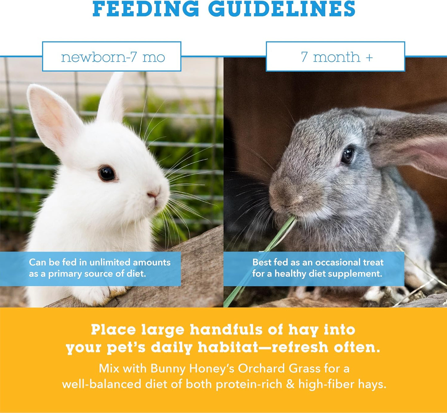 Bunny Honey Timothy Hay for Adult Rabbits, Guinea Pigs & Small Pets High-Fiber, Supports Digestive Health & Dental Care, Non-Blended & Fresh Cut