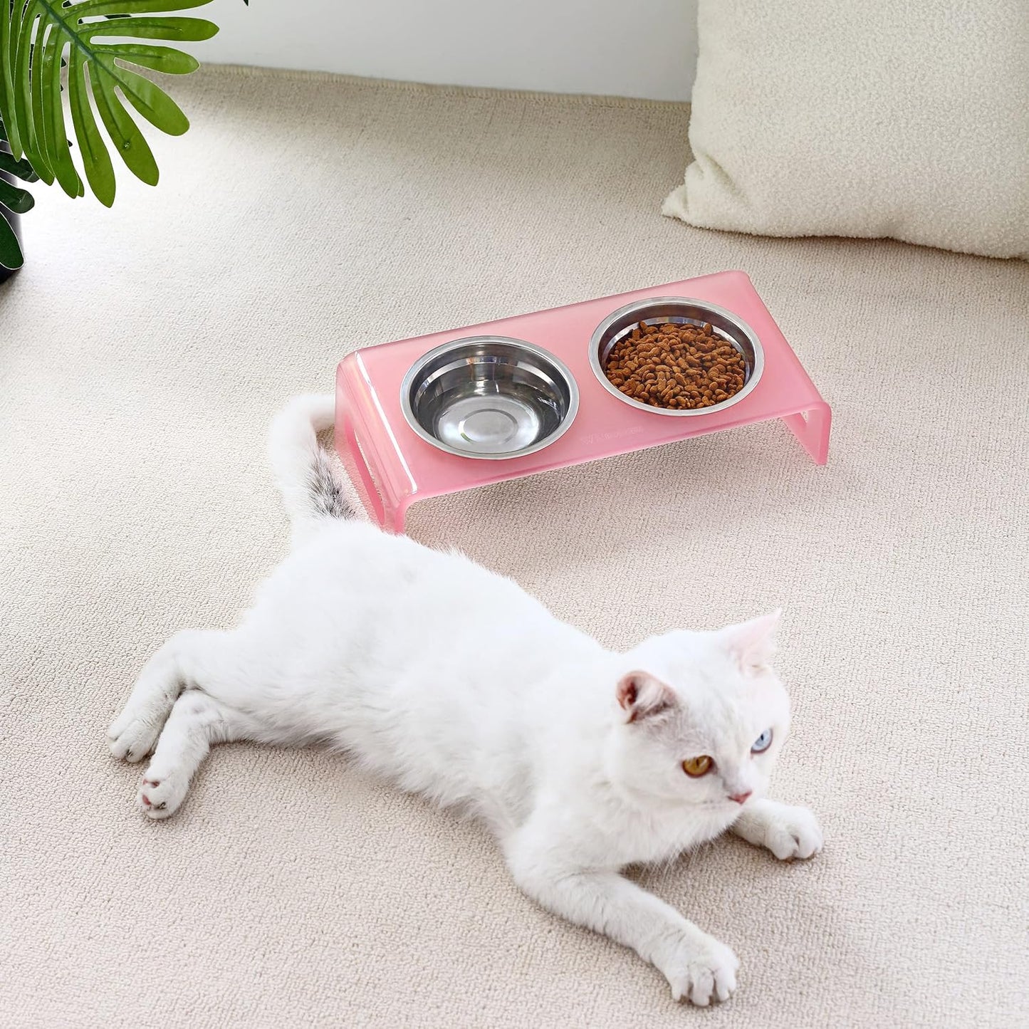 Tilted Raised Elevated Food and Water Bowls Stand for Cat or Small Dogs - Puppy's Clear Acrylic Stainless Steel Dishes Holder for Boy or Girl Pet,Modern,Durable and Easy to Clean by WBhonghui (Pink)