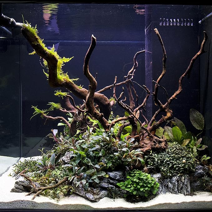 Ultum Nature Systems Driftwood - Spider Drift Wood for Fish Tank, Planted Tank, Terriarium, Paludarium - Versatile Natural Driftwood Decor, Events Wood Centerpiece - Spider Wood, Large (15-20")