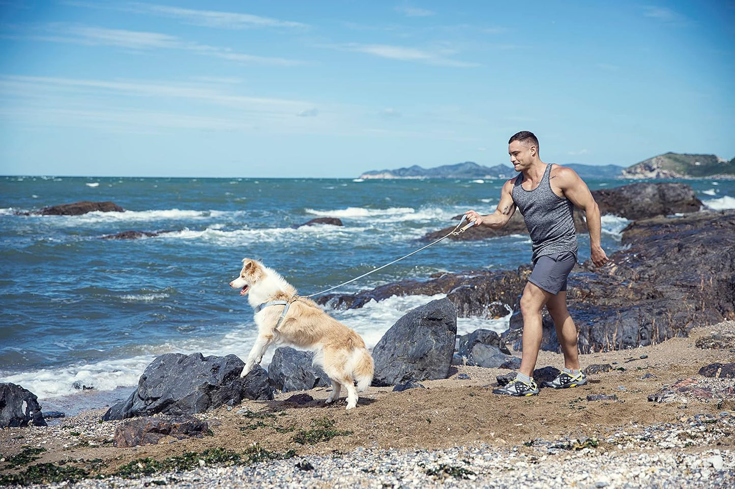 Dog Harness, No Pull Dogs Harness and Multi-Function Leash Set for Medium Dogs Easy Walk Everyday Adjustable Soft Dog Vest Harness Fashionable Dog Accessories Glacier Blue Button-Relaxed Medium