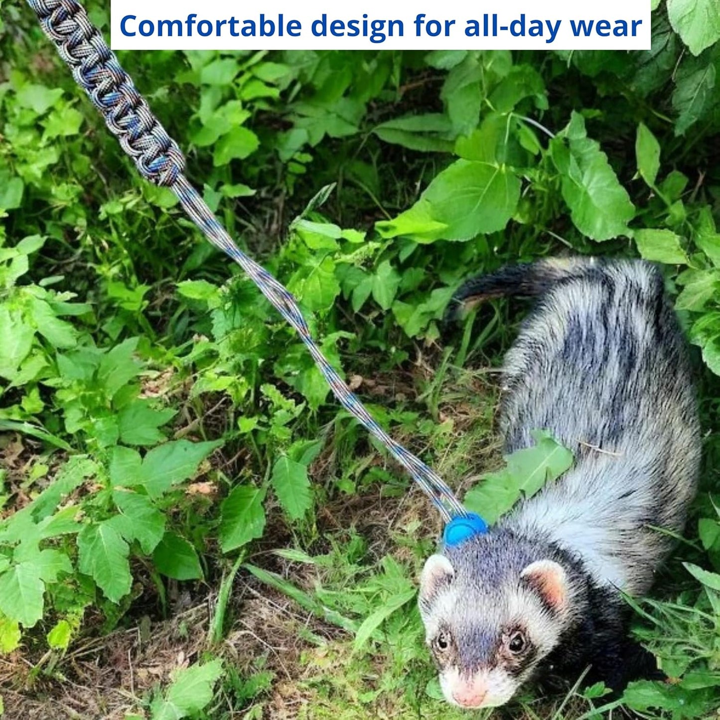 Ferret Leash Harness Adjustable Squirrel, Ferret Leash and Harness Sets for Ferrets Guinea Pig Chinchilla Rat Dragon Bearded Small Animal, Pet Squirrel Ferrets Accessories (Pink)